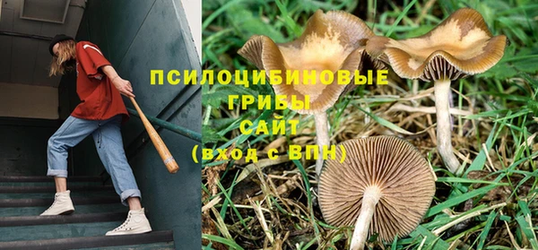 молекула духа Абдулино