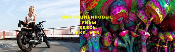Альфа ПВП Абаза