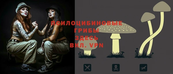 Альфа ПВП Абаза