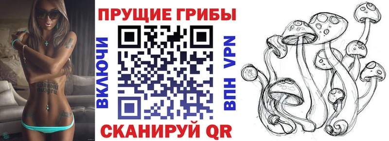 как найти закладки  Бугуруслан  Галлюциногенные грибы Cubensis 